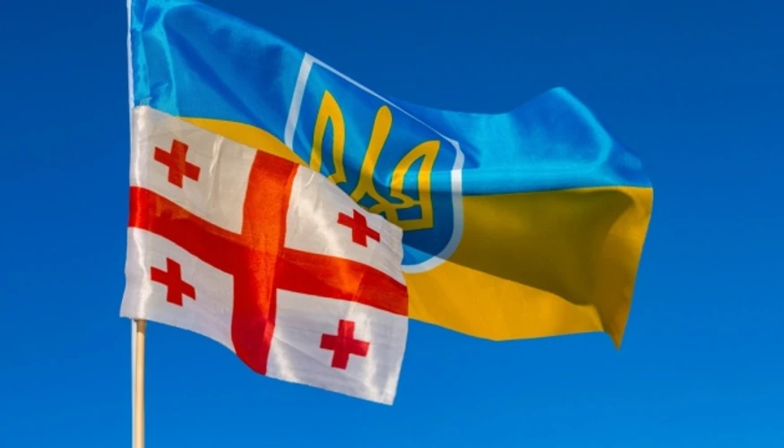 Уряд Грузії та тематика допомоги українським громадянам