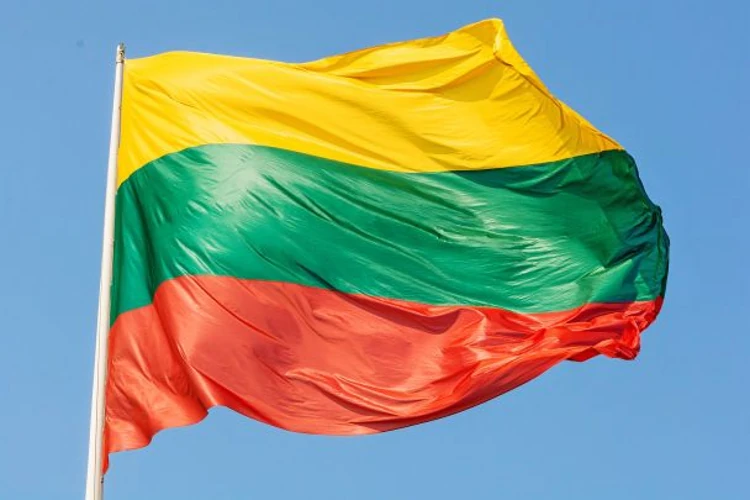 Прапор Литви на тлі будівлі парламенту